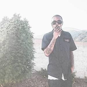 Meet your Posher, Frank